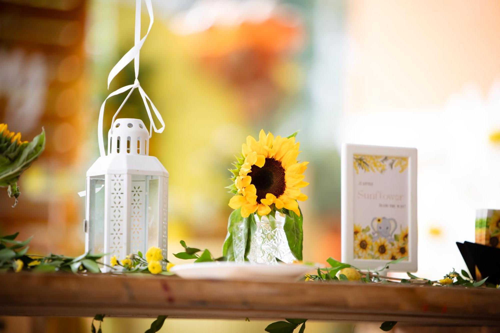 Olde Bangalore Resort And Wellness Center Devanahalli Εξωτερικό φωτογραφία