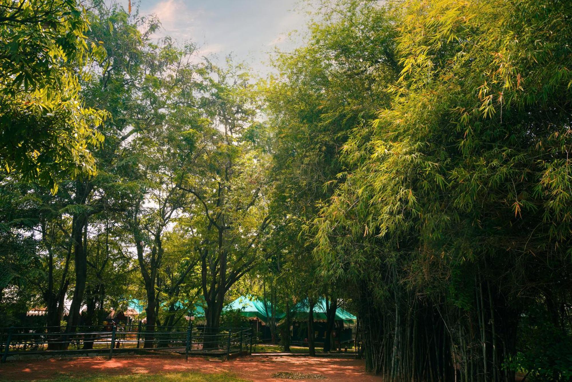 Olde Bangalore Resort And Wellness Center Devanahalli Εξωτερικό φωτογραφία